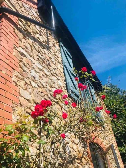 Villa Burleyhayes Barn - Secluded Devon Hideaway. à Hemyock Extérieur photo